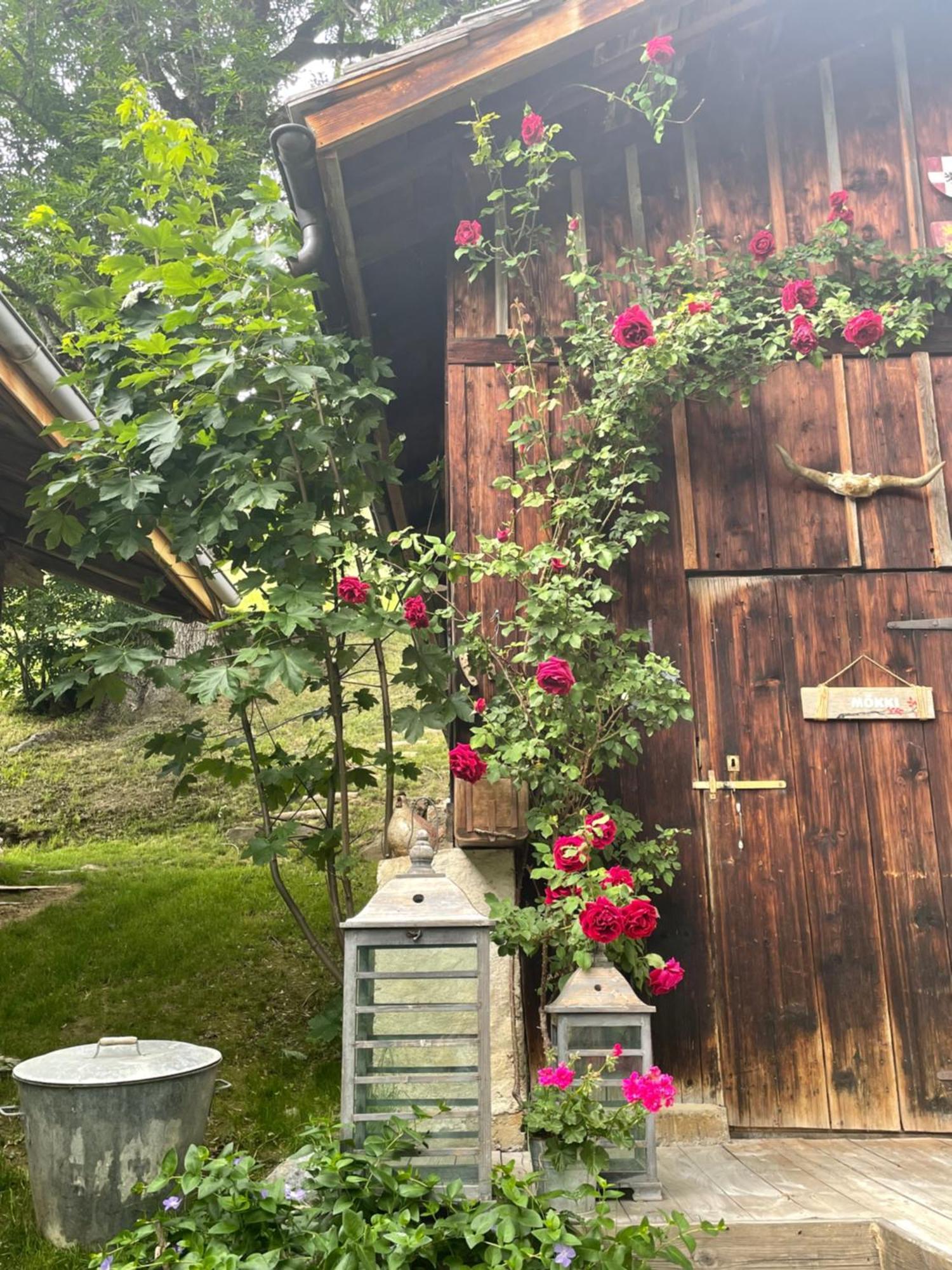 欧特吕斯Le Pika住宿加早餐旅馆 外观 照片